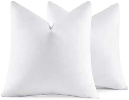 MIULEE 22x22 Pillow Inserts Set of 2 White 1