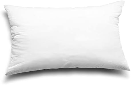 EDOW Throw Pillow Inserts Set of 2 12x20 White
