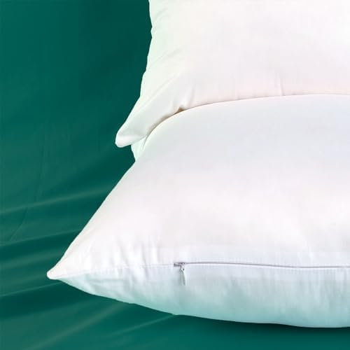 Winighting Set of 2 Ultra Plump Cotton Throw Pillow Inserts 1