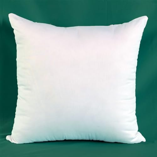Winighting Set of 2 Ultra Plump Cotton Throw Pillow Inserts 1