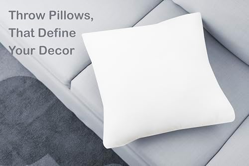 ZUPERIA 18x18 Throw Pillows Pack of 2