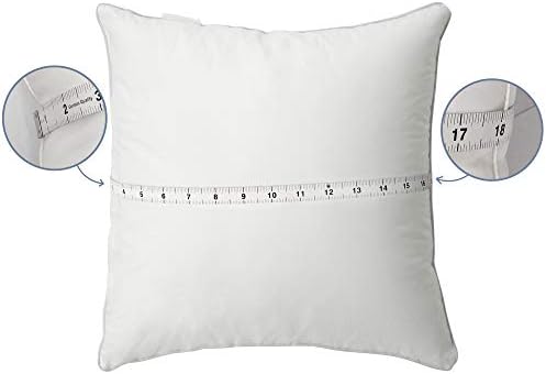 Leeden 18 x 18 Pillow Inserts Set of 2 - Cotton Cover