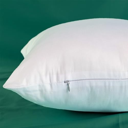 Winighting Set of 2 Ultra Plump Cotton Throw Pillow Inserts 1