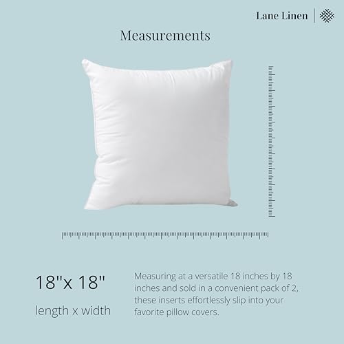 Lane Linen 18x18 Throw Pillow Insert - Pack of 2