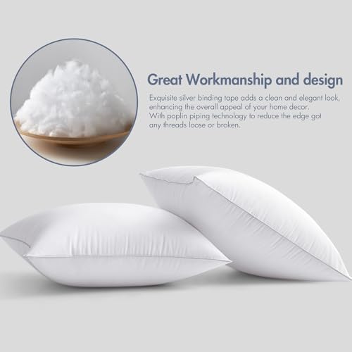 MIULEE 20x20 Pillow Inserts Set of 2 - 100 Cotton