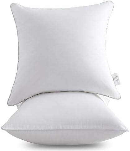 Leeden 18 x 18 Pillow Inserts Set of 2 - Cotton Cover
