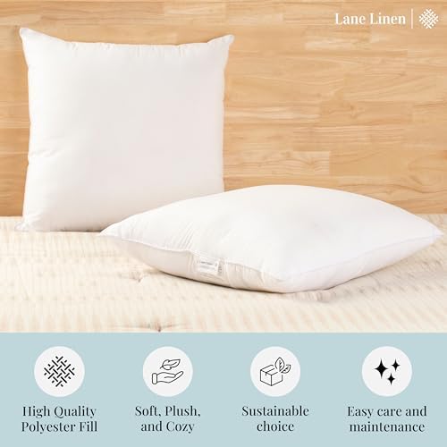 Lane Linen 18x18 Throw Pillow Insert - Pack of 2