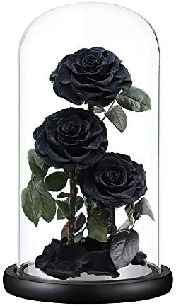 Perfectione Roses Preserved Flowers in Glass Dome