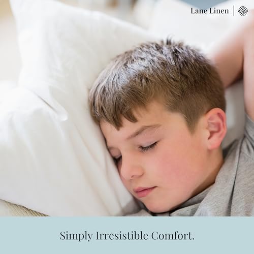 LANE LINEN 4 Pack White Throw Pillow Inserts