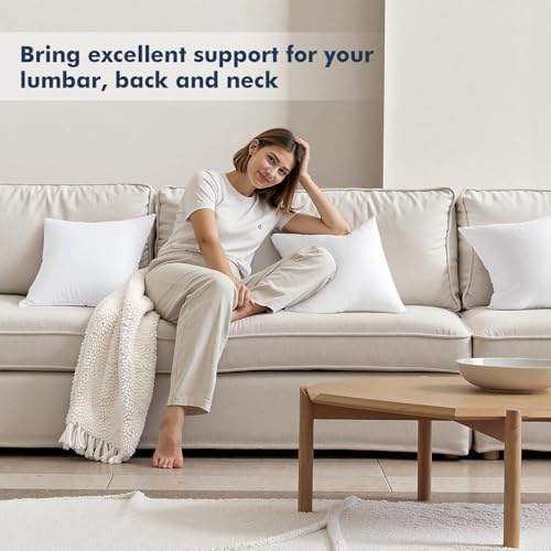 MIULEE Pillow Inserts Pack of 2 18x18 Inch