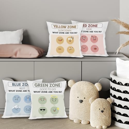 FLDAS Zones of Regulation Pillow Covers Set of 4