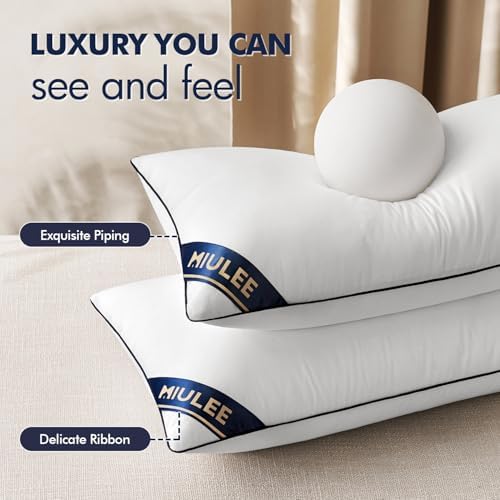 MIULEE 18x18 Pillow Inserts Set of 2 Throw Pillow Fillers