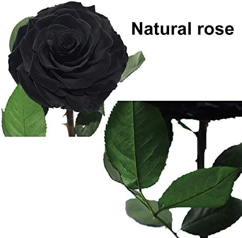 Perfectione Roses Preserved Flowers in Glass Dome