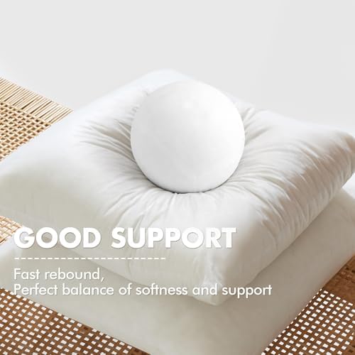 MIULEE 12x20 Pillow Inserts Set of 2 Fluffy Lumbar