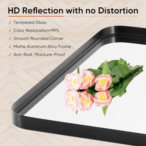 DUMOS 30x40 Inch Black Metal Bathroom Mirror