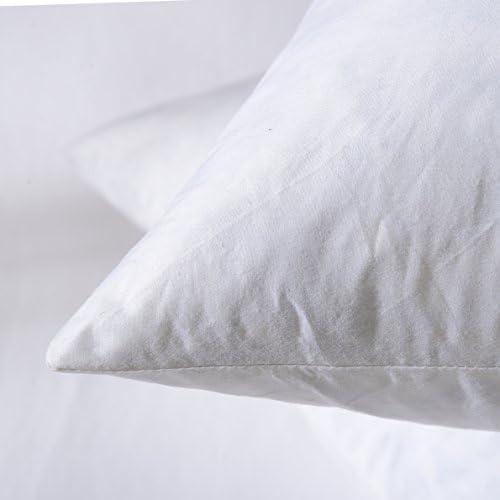 Basic Home 18x18 Feather Down Pillow Inserts Set of 2 White