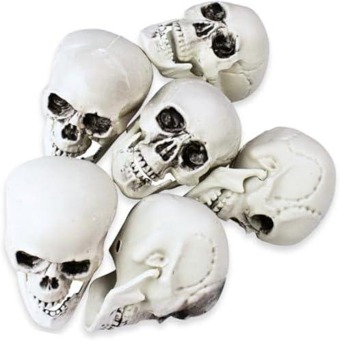 Northlight 6 Pack Skeleton Skull Heads Halloween Decorations