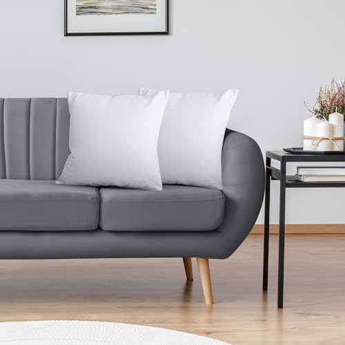 Utopia Bedding Throw Pillow Insert - Pack of 2
