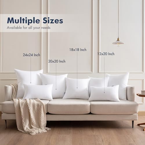 MIULEE Pillow Inserts Pack of 2 18x18 Inch