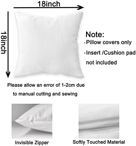 FLDAS Zones of Regulation Pillow Covers Set of 4