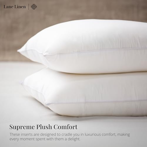 LANE LINEN 12x20 Throw Pillow Inserts - Pack of 2