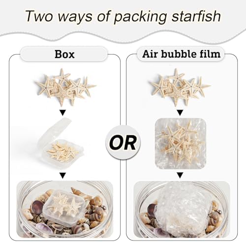 HAPY SHOP 1200 Pieces Tiny Sea Shells Starfish Set