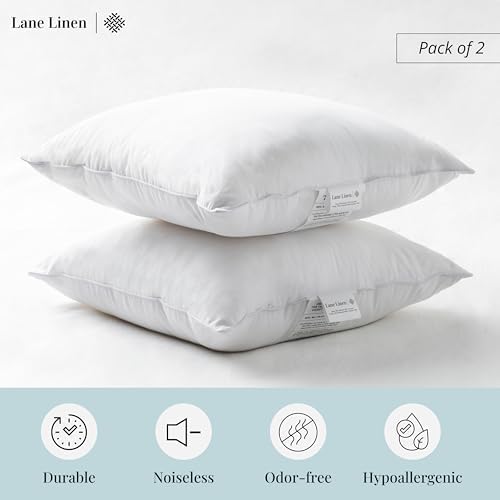 Lane Linen 18x18 Throw Pillow Insert - Pack of 2