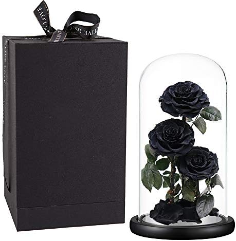 Perfectione Roses Preserved Flowers in Glass Dome