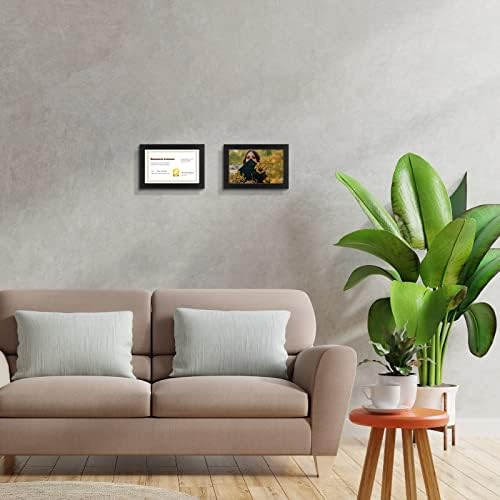 Golden State Art 55x85 Business License Frame 2 Pack