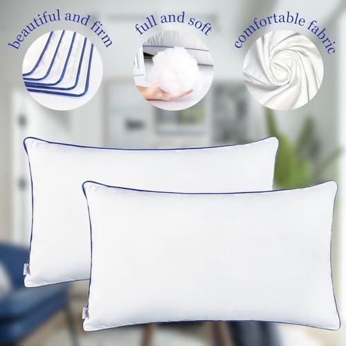 Wuuyuef 12 x 20 Pillow Insert Set of 2