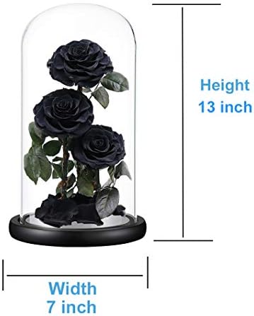 Perfectione Roses Preserved Flowers in Glass Dome