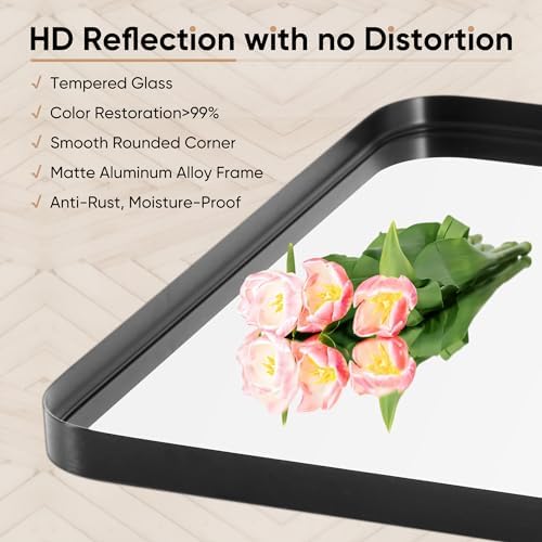 DUMOS 30x22 Inch Matte Bathroom Vanity Mirror with Black Metal Frame