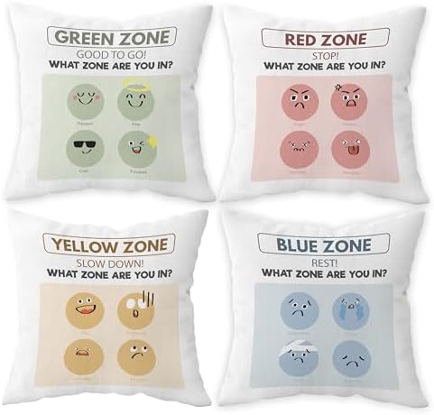 FLDAS Zones of Regulation Pillow Covers Set of 4