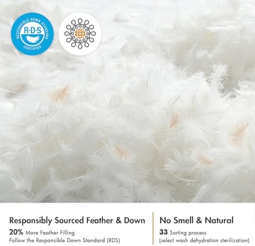 MIULEE 22x22 Pillow Inserts Set of 2 White 1