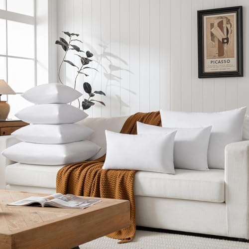 Basic Home 18x18 Feather Down Pillow Inserts Set of 2 White