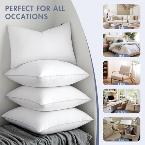 MIULEE 20x20 Pillow Inserts Set of 2 - 100 Cotton