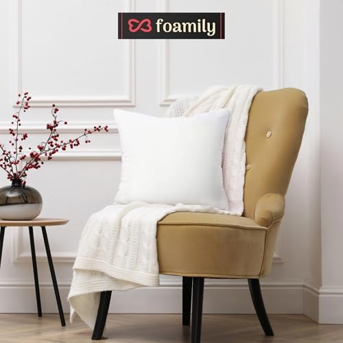 Foamily Throw Pillow Insert 18x18 Inches Hypoallergenic