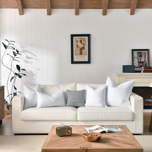 Basic Home 18x18 Feather Down Pillow Inserts Set of 2 White