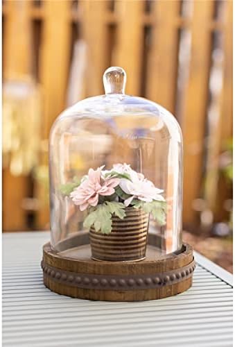 Stonebriar 9 Inch Clear Glass Dome Cloche with Wood Base