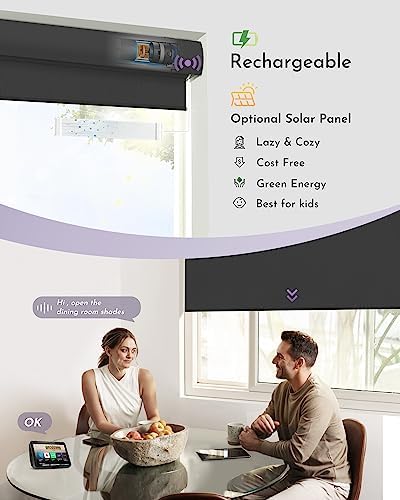 Graywind Motorized Roller Shades with Blackout and Valance