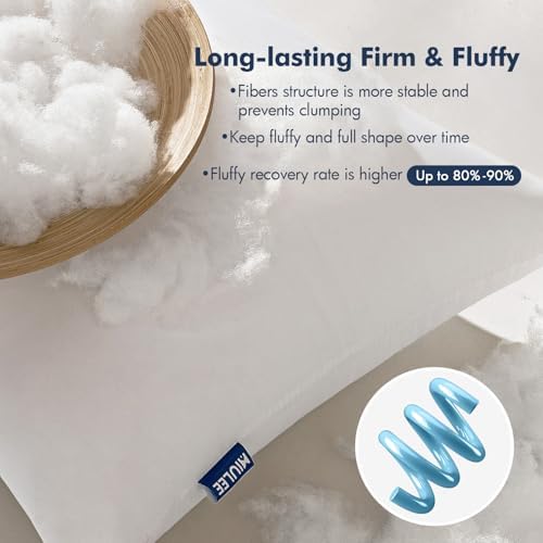 MIULEE Pillow Inserts Pack of 2 18x18 Inch