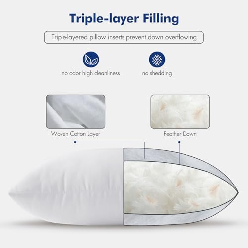 MIULEE 22x22 Pillow Inserts Set of 2 White 1