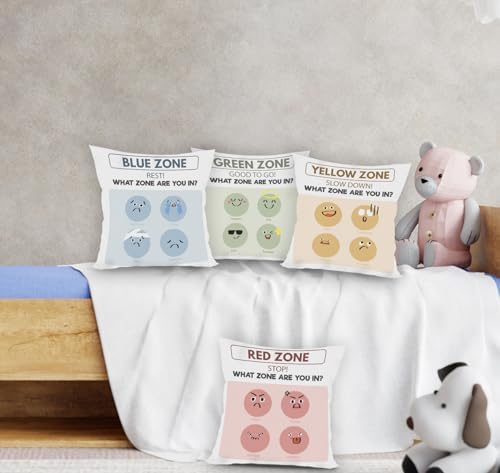 FLDAS Zones of Regulation Pillow Covers Set of 4