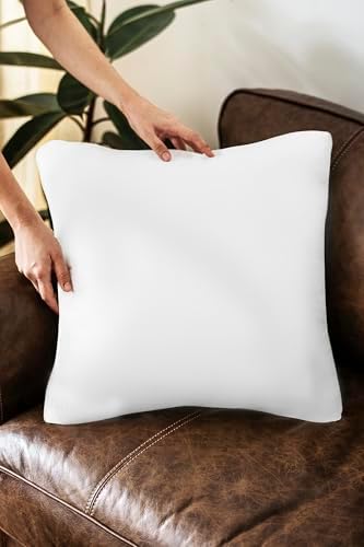 ZUPERIA 18x18 Throw Pillows Pack of 2