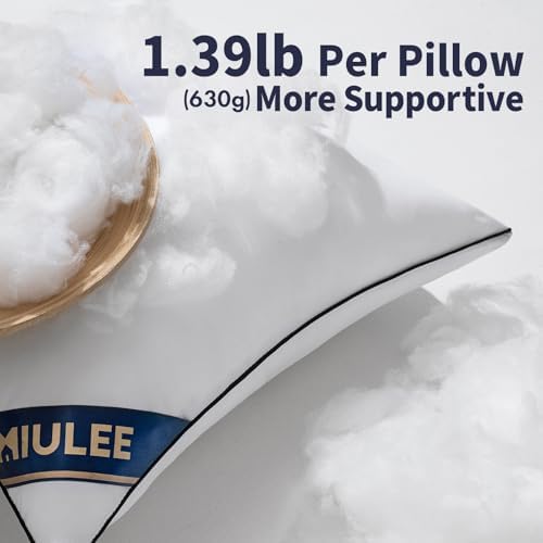 MIULEE 18x18 Pillow Inserts Set of 2 Throw Pillow Fillers