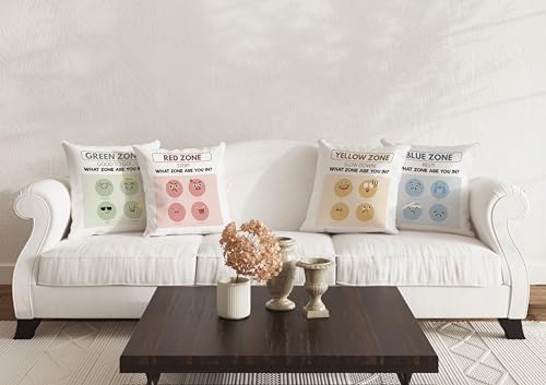 FLDAS Zones of Regulation Pillow Covers Set of 4