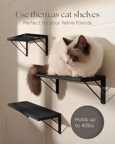 BAYKA Rustic Floating Wall Shelves for Bedroom and Living Room Storage