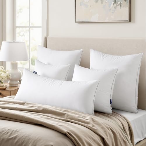 MIULEE 20x20 Pillow Inserts Set of 2 - 100 Cotton