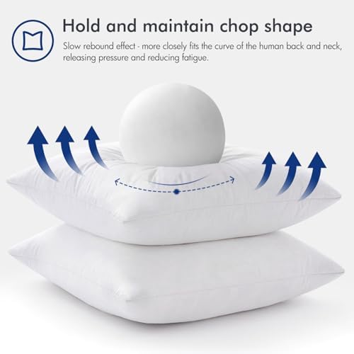 MIULEE 22x22 Pillow Inserts Set of 2 White 1