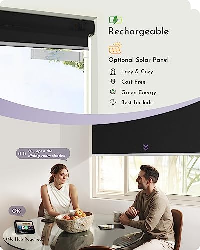 Graywind Smart Roller Shades with Alexa Google Support